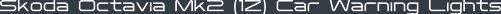 Skoda Octavia Mk2 (1Z) Car Warning Lights